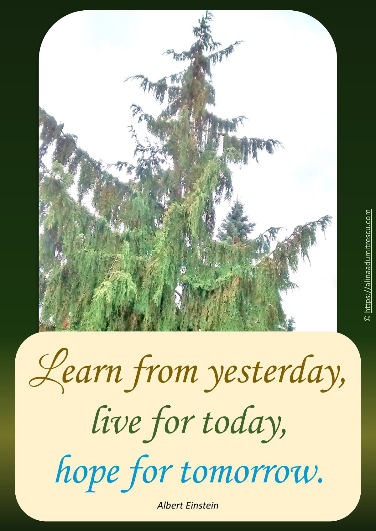 Free Motivational Poster:&nbsp;Learning