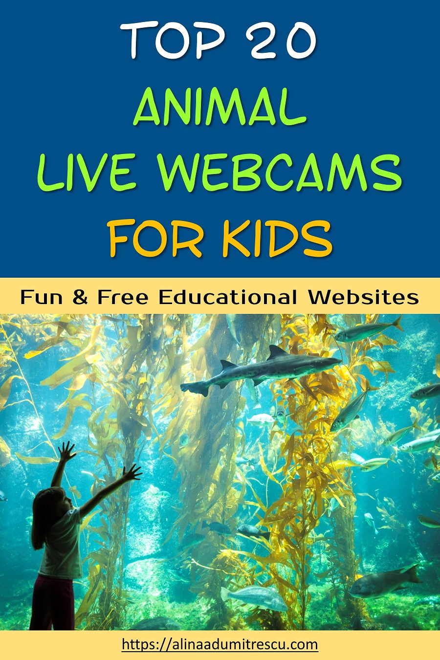 20 Best Animal Live Cams and Videos for&nbsp;Kids